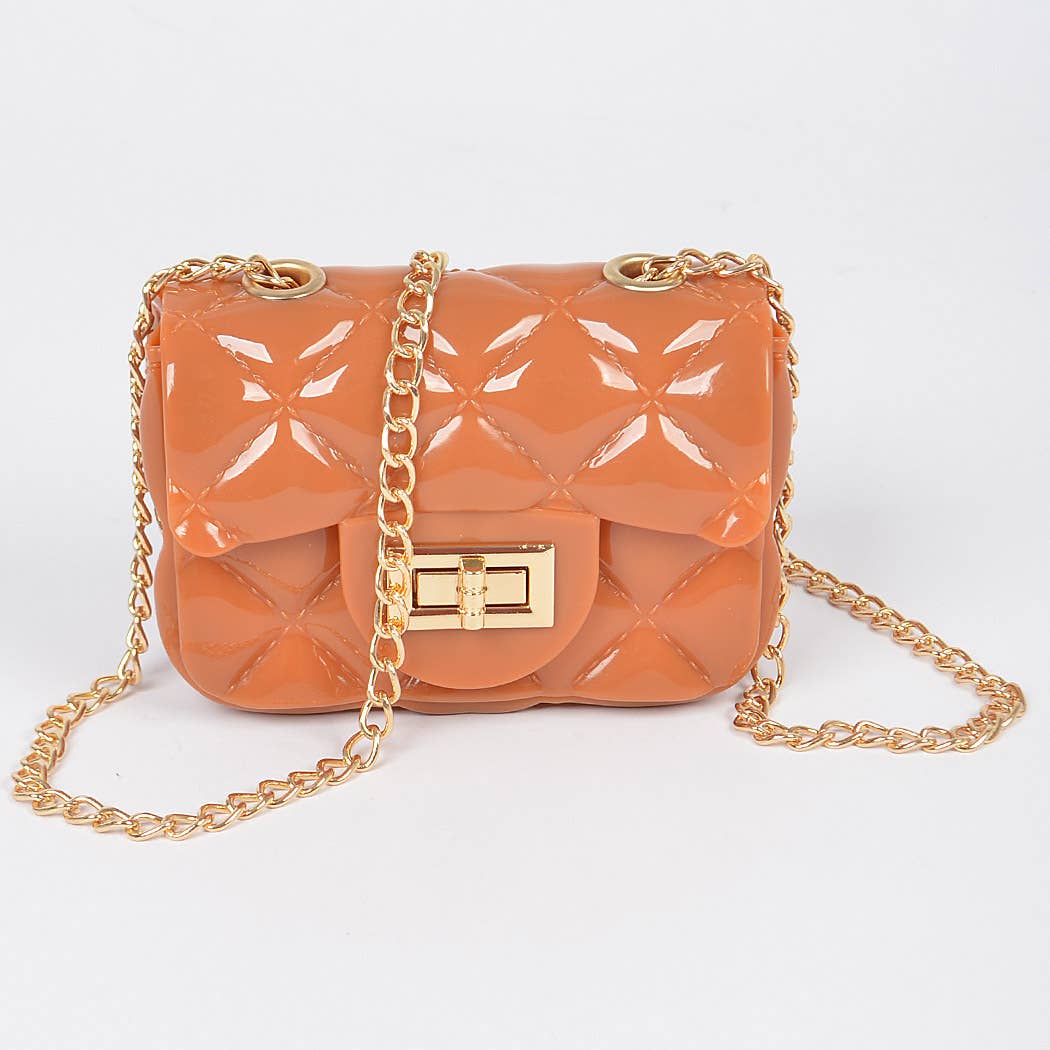 Shine Jelly Chain Strap Mini Clutch