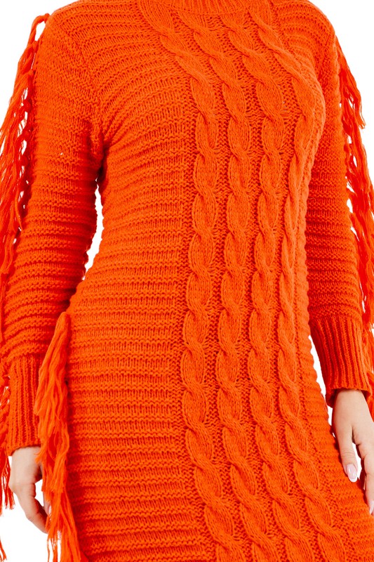 Tassel Sweater Dress