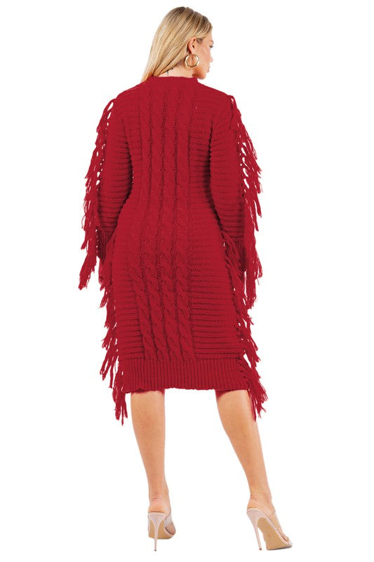 Tassel Sweater Dress