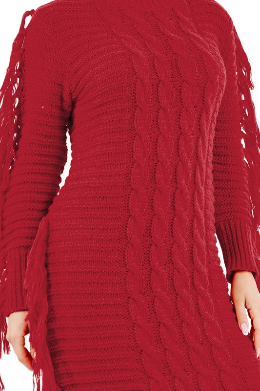 Tassel Sweater Dress