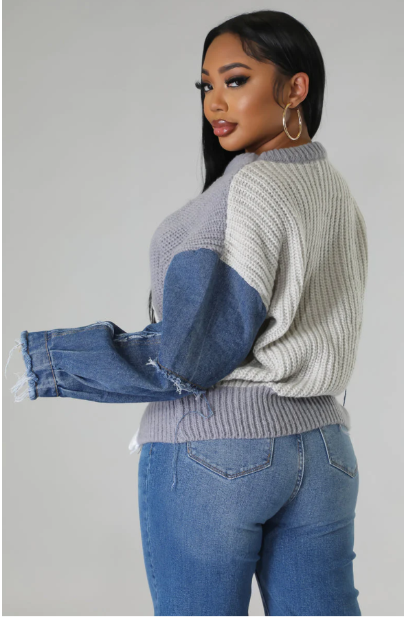 Denim Sleeved Sweater